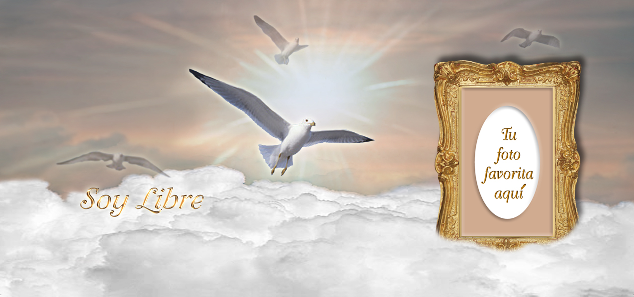 Soy Libre Bronze Clouds